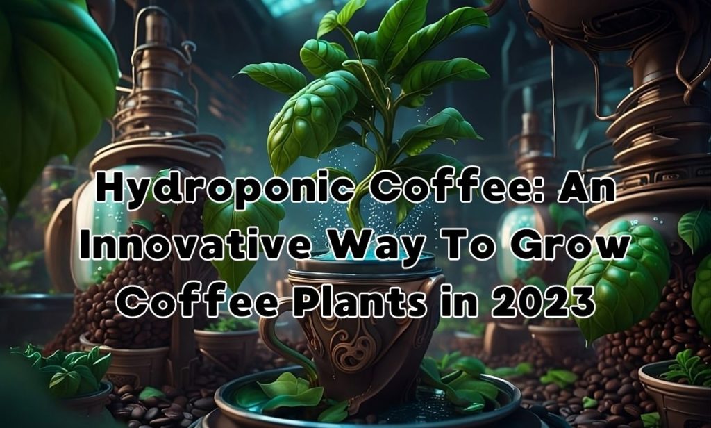 Hydroponic Coffee: An Innovative Way To Grow Coffee Plants in 2023.