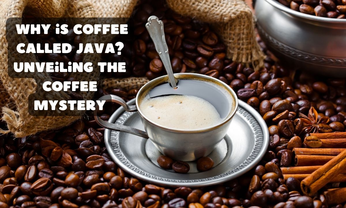 Why Is Coffee Called Java? Unveiling The Coffee Mystery 2023